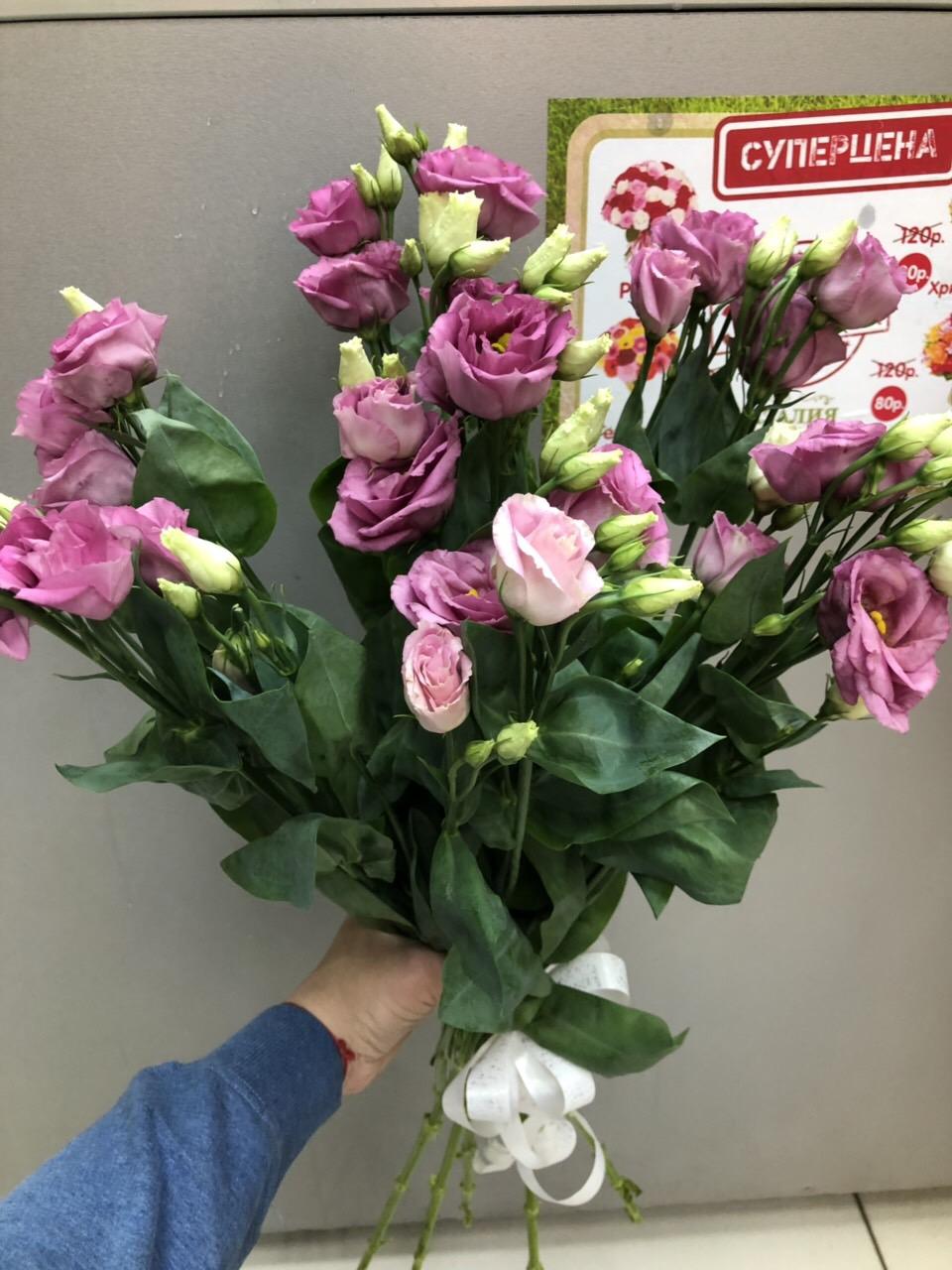 Цветы котлас