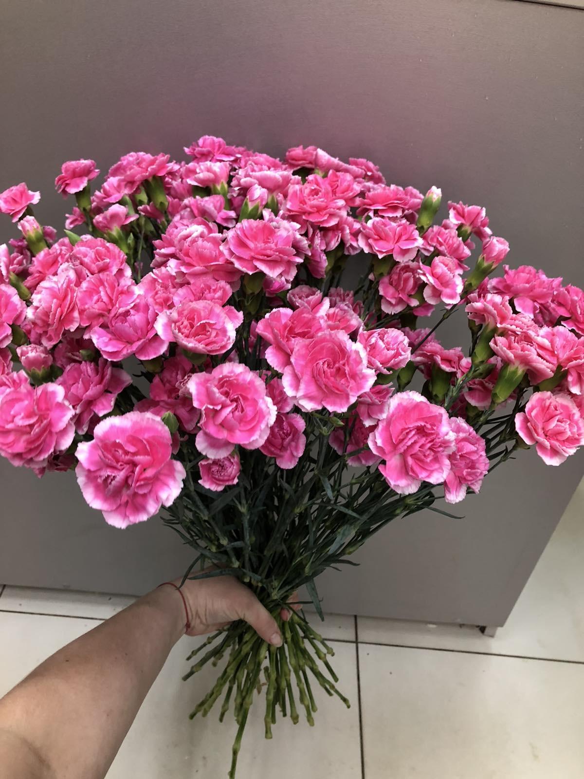Цветы котлас